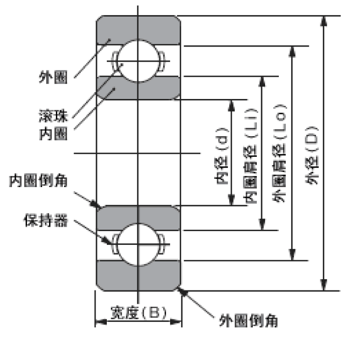 基本型