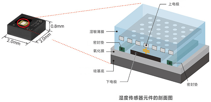湿度传感器元件的剖面图